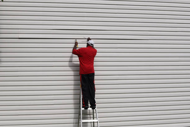 Best Siding Painting and Refinishing  in North Merritt Island, FL